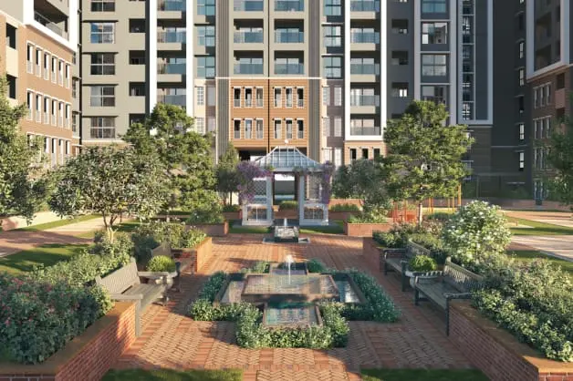 Aria top view